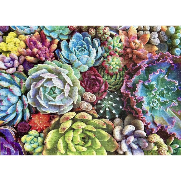 Unbranded Other - Succulent Plants Colorful Succulents Jigsaw Puzzle 1000 Pieces